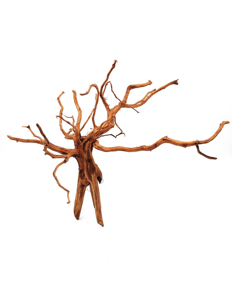 Dark Snake Wood pour aquascaping et crevettes