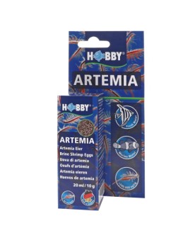Oeufs artemia Hobby prets a eclore