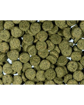 NatureHolic NipTabs Green Pastilles adhesives pour poissons