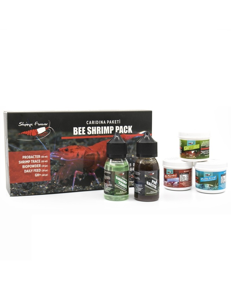 Boite Shrimps Forever Caridina kit pour crevettes
