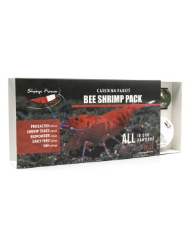 Boite Shrimps Forever Caridina kit pour crevettes