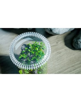Chihiros Glass Pot Dew S bocal verre et couvercle acrylique