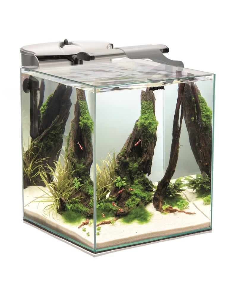 Aquael Shrimp Fish Set DUO DN 35 blanc 49L LED FZN3 FIX50
