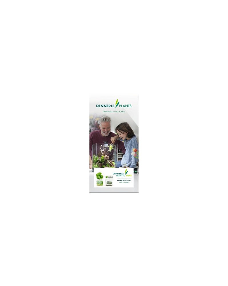 Plantes in vitro Dennerle guide et entretien