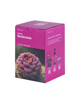 MicroTerrarium VivoVerde Aqua Art 12.5x18cm