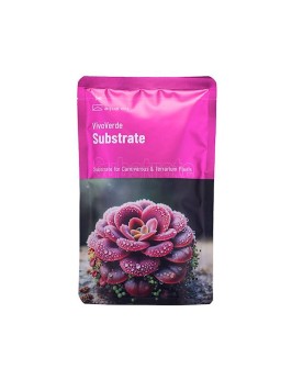 Substrat VivoVerde pour mini terrarium