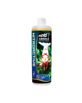 SL-aqua bacteries pour crevettes Taiwan Bee en aquarium