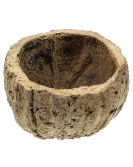 Cosse ourico pour aquarium, cachette naturelle