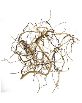 Asia Twigs racines pour aquarium et crevettes