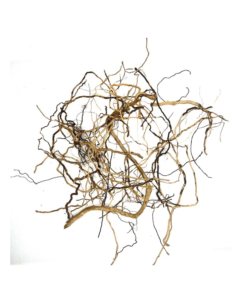 Asia Twigs racines pour aquarium et crevettes