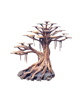 Rasamala Bonsai deco aquarium en bois et lave taille M