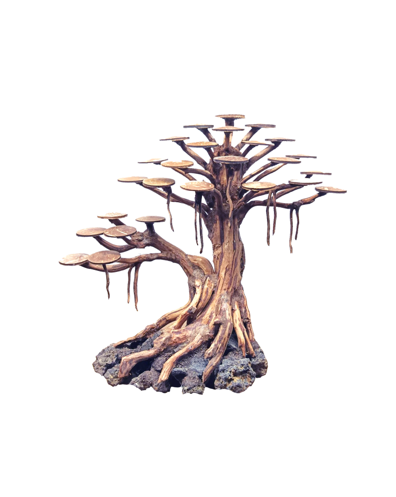 Rasamala Bonsai deco aquarium en bois et lave taille M
