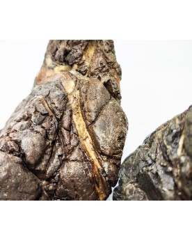 Truly Stones pierres crevassees gris fonce 10-20 cm