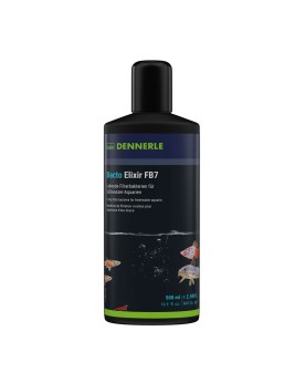 Bacteries pour filtration biologique aquarium