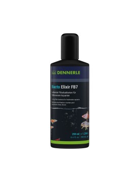 Culture de bacteries pour filtration