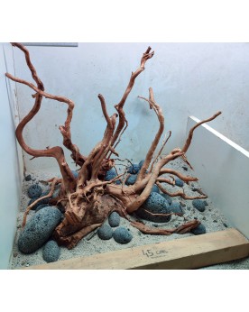 Hardscape HS-11 racines Asia et Lava Pebbles base 45x30cm