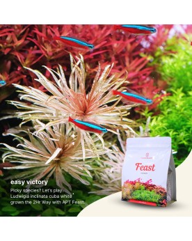 Sachet APT Feast aquasoil - sol organique riche