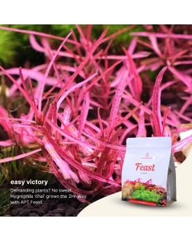 2Hr Aquarist APT Feast aquasoil riche pH 6.2 a 6.6
