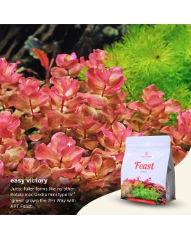 2Hr Aquarist APT Feast aquasoil riche pH 6.2 a 6.6