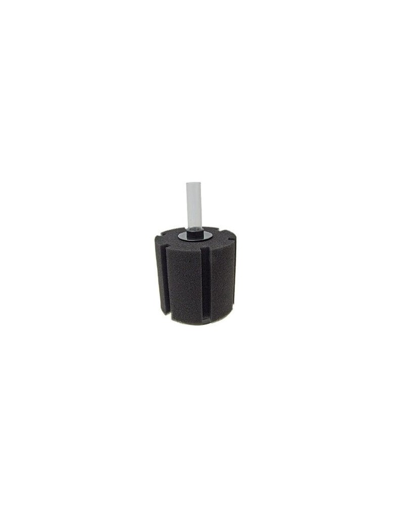 Filtre exhausteur a mousse sur pied