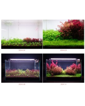 AQUARIO NEO Soil NO CO2 substrat volcanique