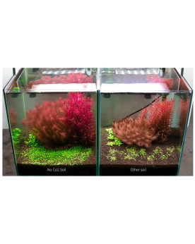 AQUARIO NEO Soil NO CO2 substrat volcanique
