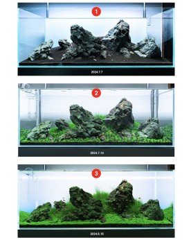 AQUARIO NEO Soil NO CO2 substrat volcanique