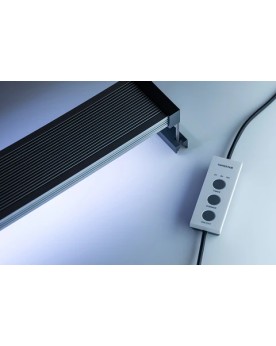 Twinstar Light A Line II 45 cm Eclairage LED