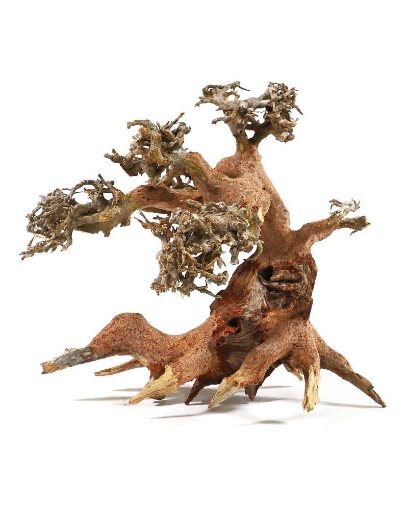 Bonsai en racines naturelles pour aquarium