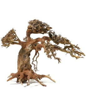 Bonsai naturel en racines pour aquarium