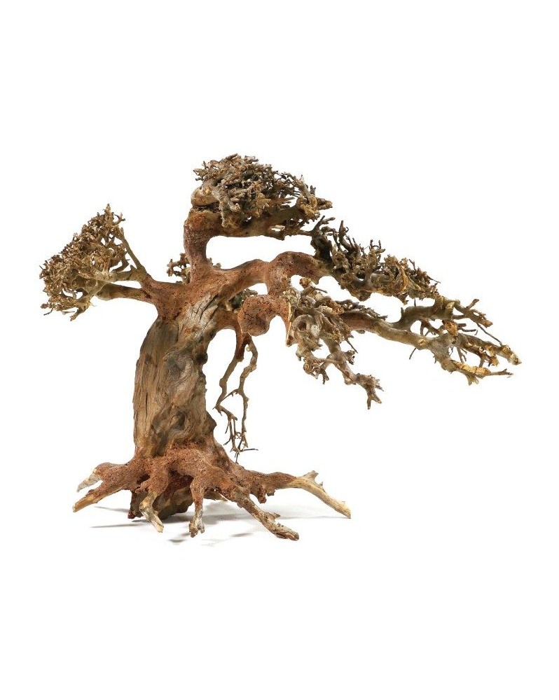 Bonsai naturel en racines pour aquarium