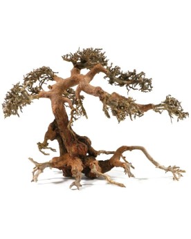 Bonsai pour aquarium en racines naturelles