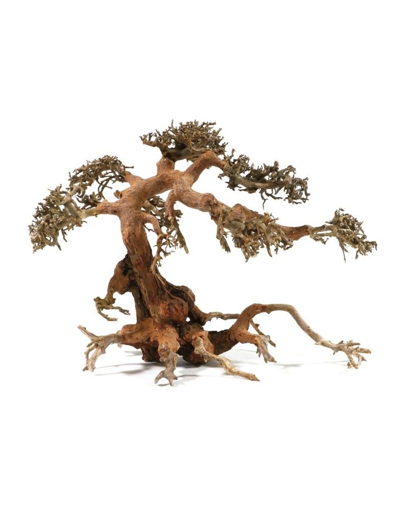Bonsai pour aquarium en racines naturelles