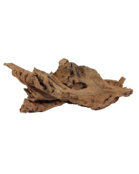 Yati Wood racine pour aquarium et aquascaping