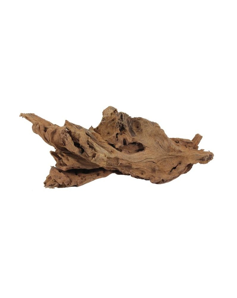 Yati Wood racine pour aquarium et aquascaping