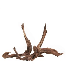 Racines Black Slim Wood pour aquarium plante