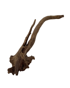 Racine China Driftwood pour aquarium aquascaping
