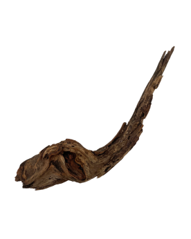 Racine China Driftwood pour aquarium aquascaping