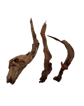 Racine China Driftwood pour aquarium aquascaping