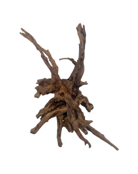 Black Slim Wood racines pour aquascaping aquarium plante