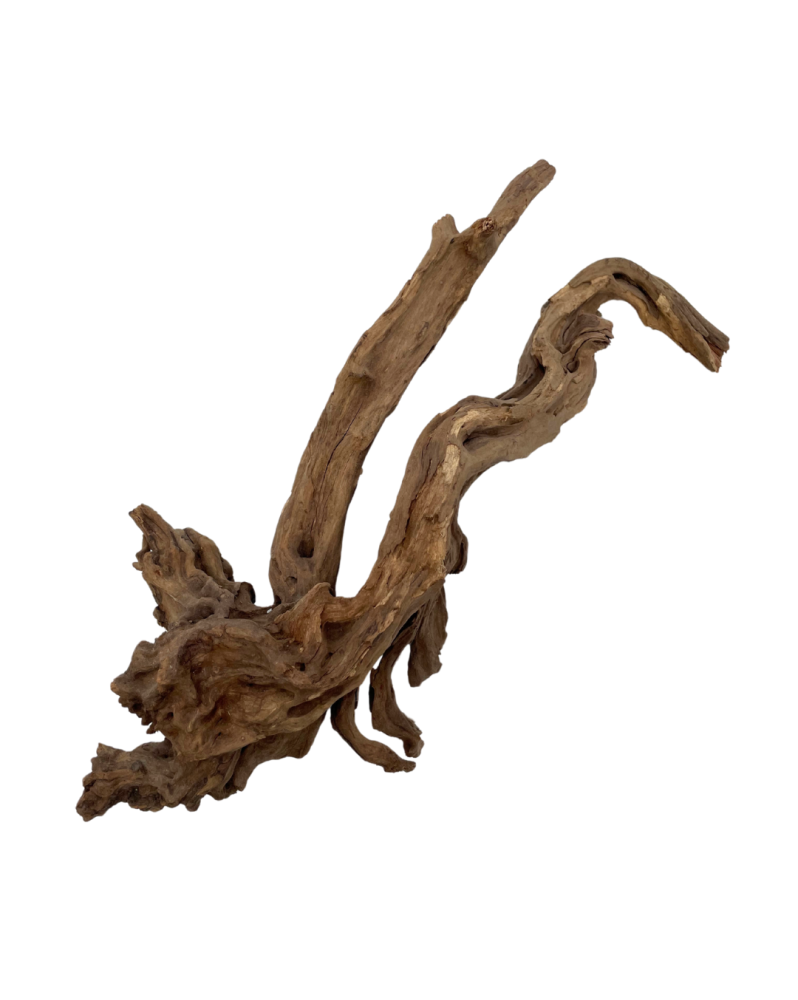 Racines Black Slim Wood pour aquarium plante