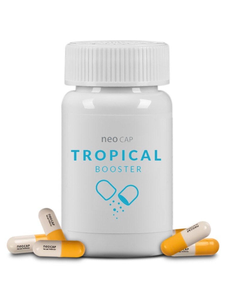 Neo Cap Booster Tropical capsules pour aquarium