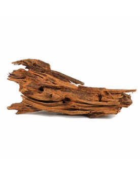 Yati Wood racine pour aquarium et aquascaping