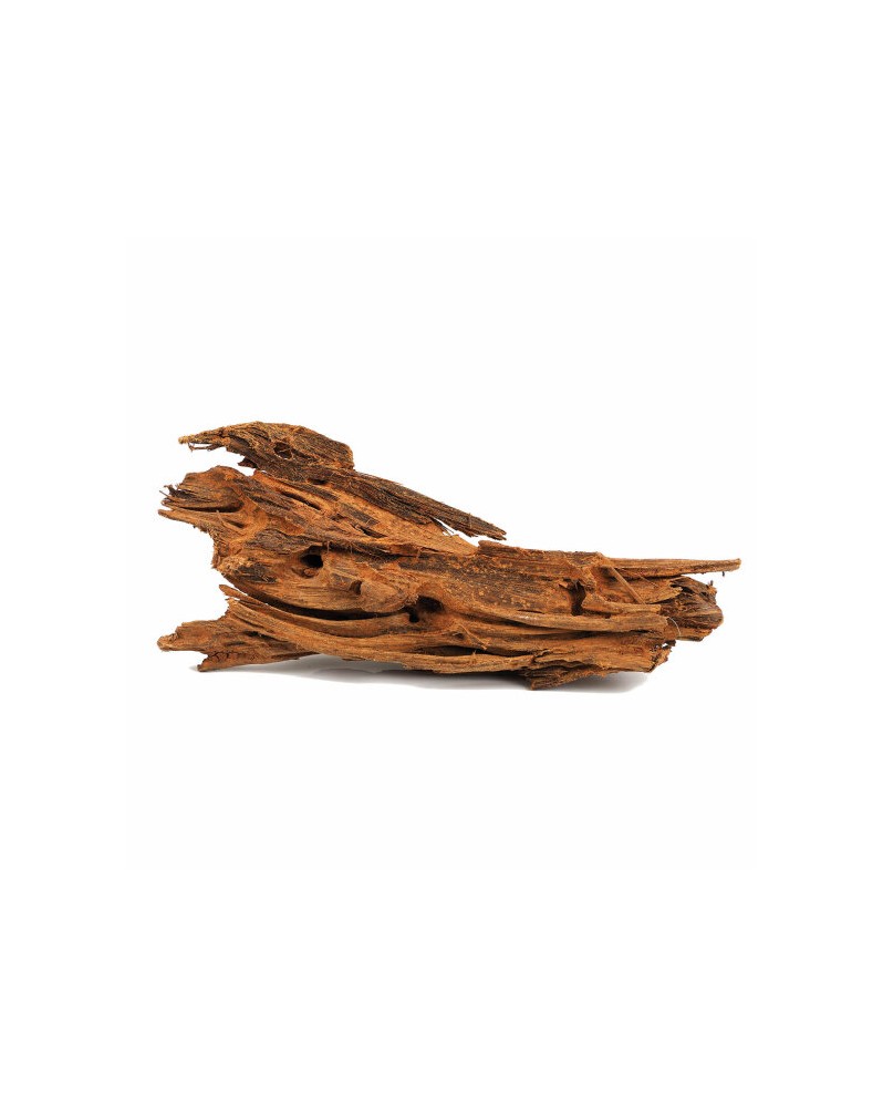 Yati Wood racine pour aquarium et aquascaping