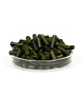 Batonnets d algues GARNELEN4YOU Neo 30g