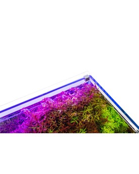 Atmos LED RGB retroeclairage pour aquarium 30C 9W