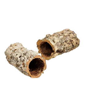 Casca Oca — Écorce creuse 20x9 cm, cachette pour amphibiens