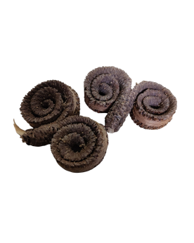 Anneaux de palmier Borassus pour terrarium