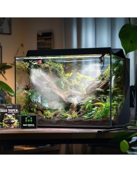 Oasis Tropical - Brumisateur programmable pour terrarium