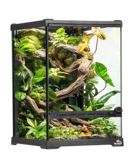 Terrarium Terrario Oasis Verde 20x20x30